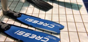 夏の海へ向けスキンダイビングパーソナルトレーニング